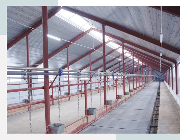 Строительство коровников в Советской Гавани от 623 руб.