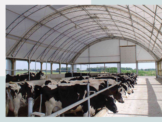 Тентовые коровники в Советской Гавани